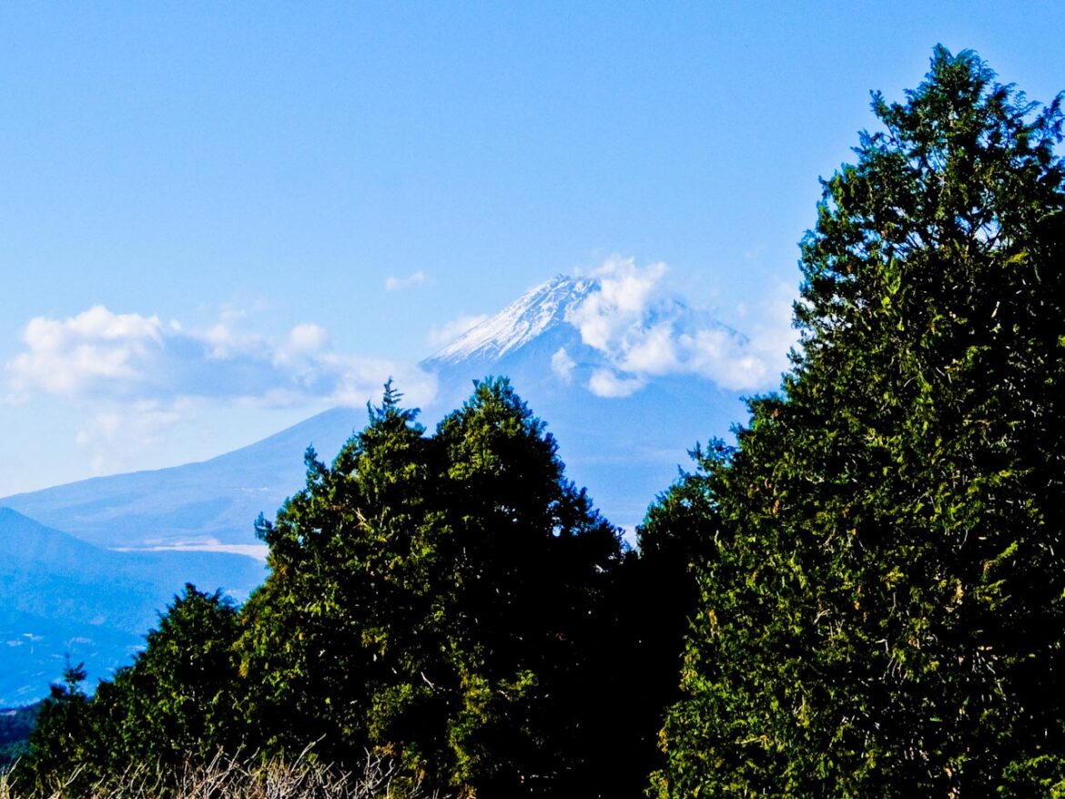 Exploring Ancient Pathways on Foot in Shizuoka, Japan