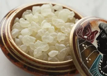 Unlocking the Secrets of Mastic Gum: Enhancing Gut Health Through its Benefits