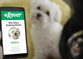 Rover’s Next Chapter: Pet-Sitting Giant Seals $2.3B Deal with Blackstone