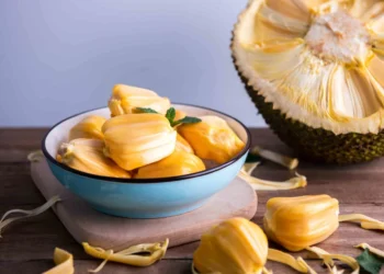 Exploring the Health Advantages of Jackfruit